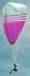 Paragliders on Huahaine Iti (John Beck).